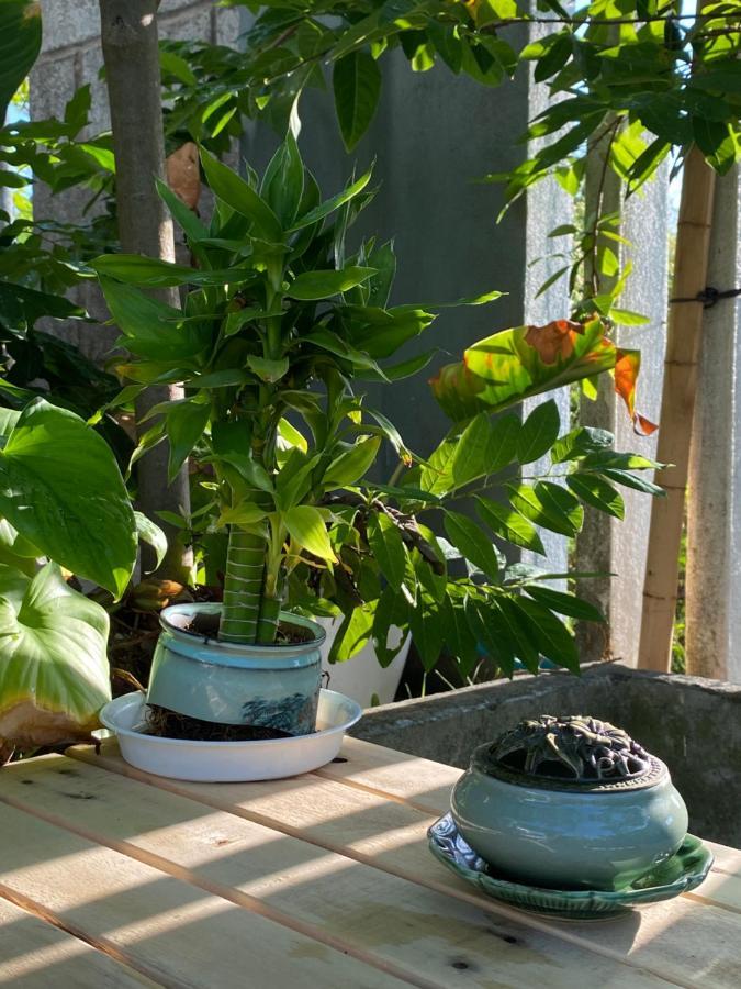הוי אן Laoxao Homestay מראה חיצוני תמונה