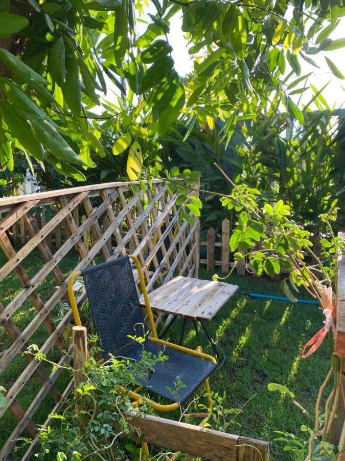 הוי אן Laoxao Homestay מראה חיצוני תמונה