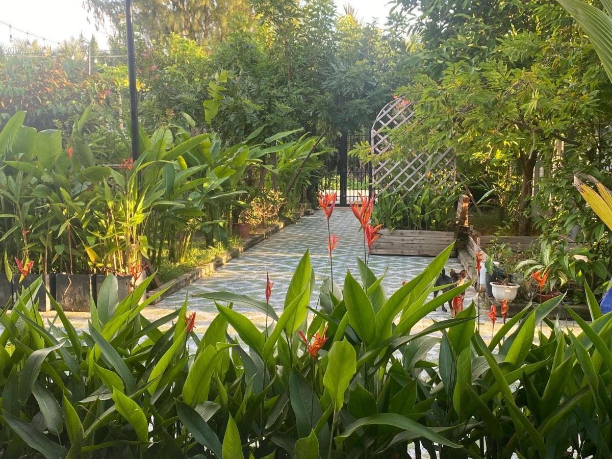 הוי אן Laoxao Homestay מראה חיצוני תמונה